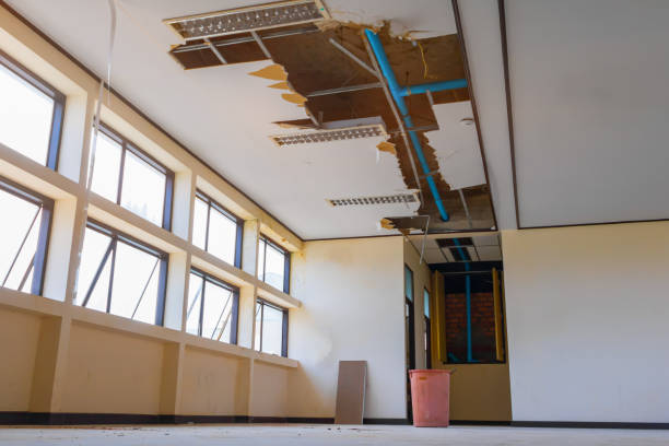 Best Flooded house restoration  in Swepsonville, NC