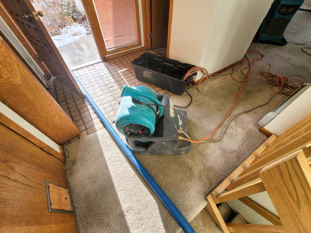 Best Ceiling water damage repair  in Swepsonville, NC