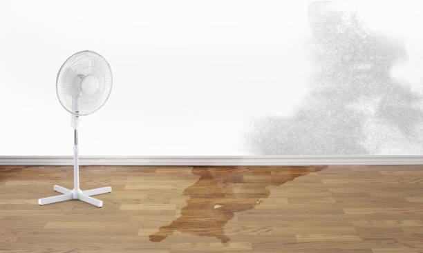  Swepsonville, NC Water damage restoration Pros