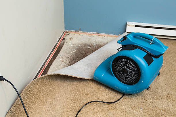 Best Local water damage restoration  in Swepsonville, NC